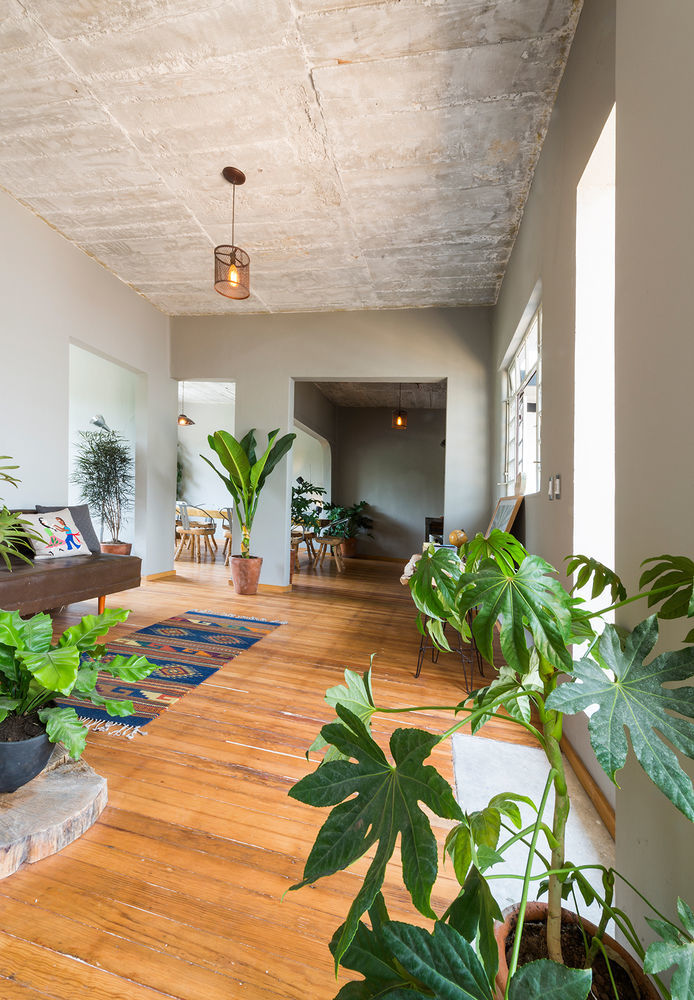 Chaya B&B Boutique เม็กซิโกซิตี้ ภายนอก รูปภาพ